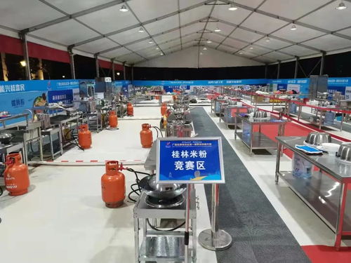 廣西科商助力首屆職業技能大賽 信息技術咨詢服務獲贊譽